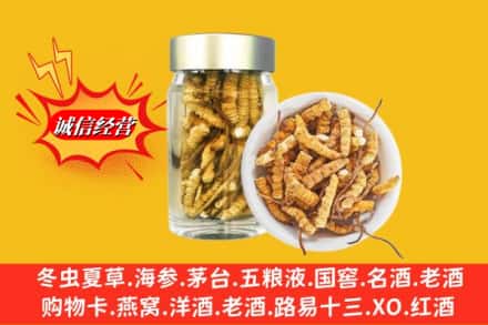 怀化会同县回收散虫草