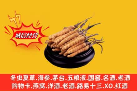 怀化会同县名酒回收冬虫夏草.jpg